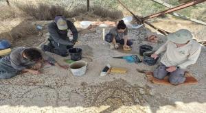 הצלת הפסיפס העתיק צילום: רשות הטבע והגנים חדשות